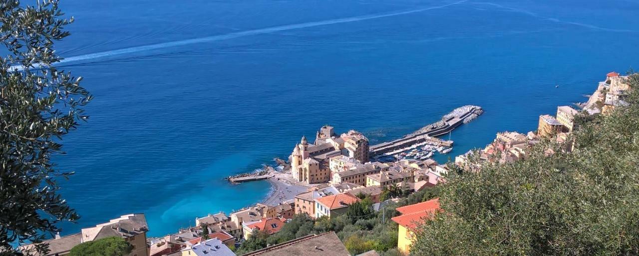 Camogli Golfo Paradiso La Casa Del Comandante エクステリア 写真